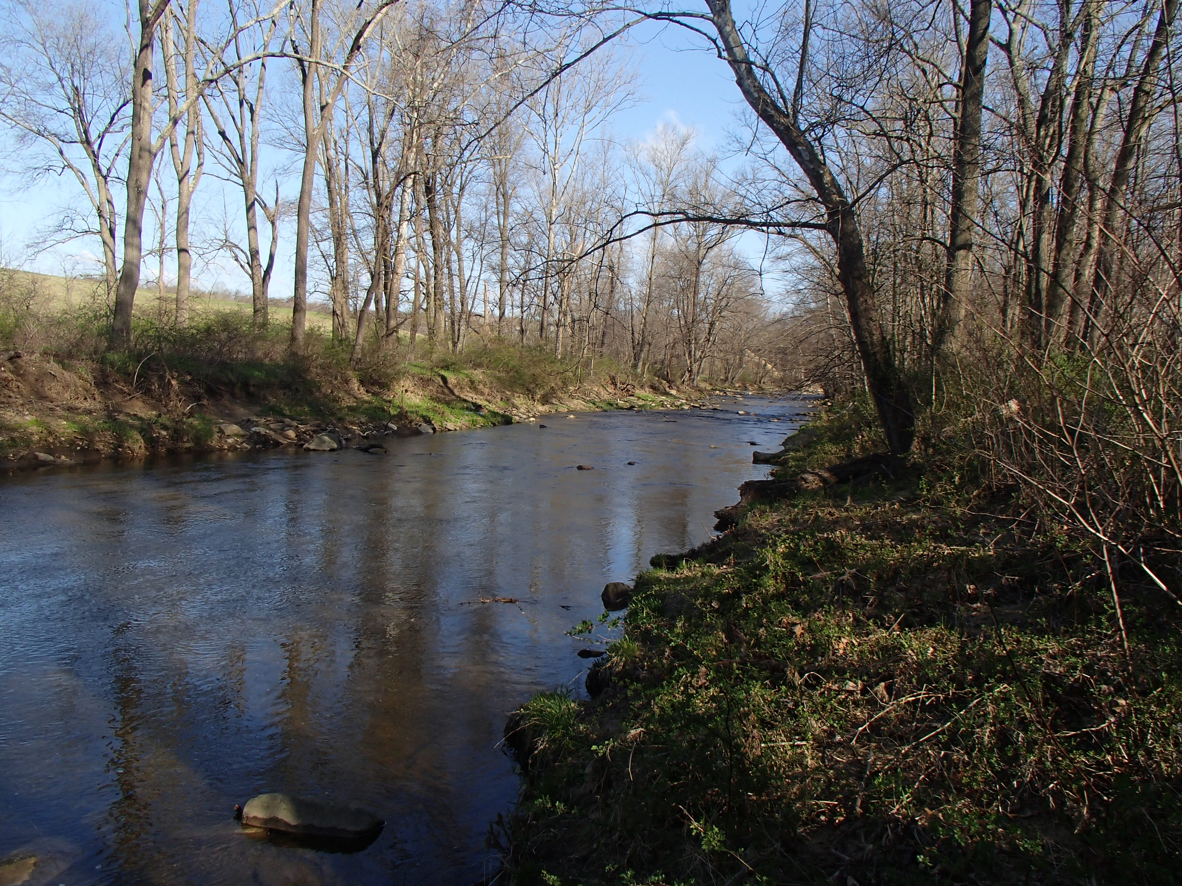 Field photo showing stream conditions at site LIEL-114-R-2016_Midpoint looking upstream